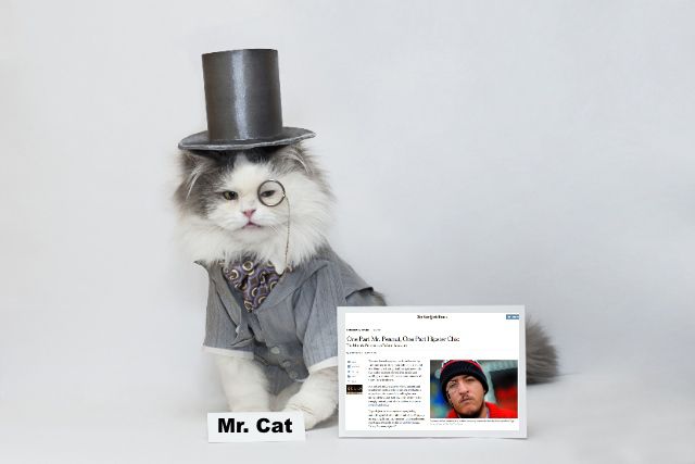 Meet Mr. Cat